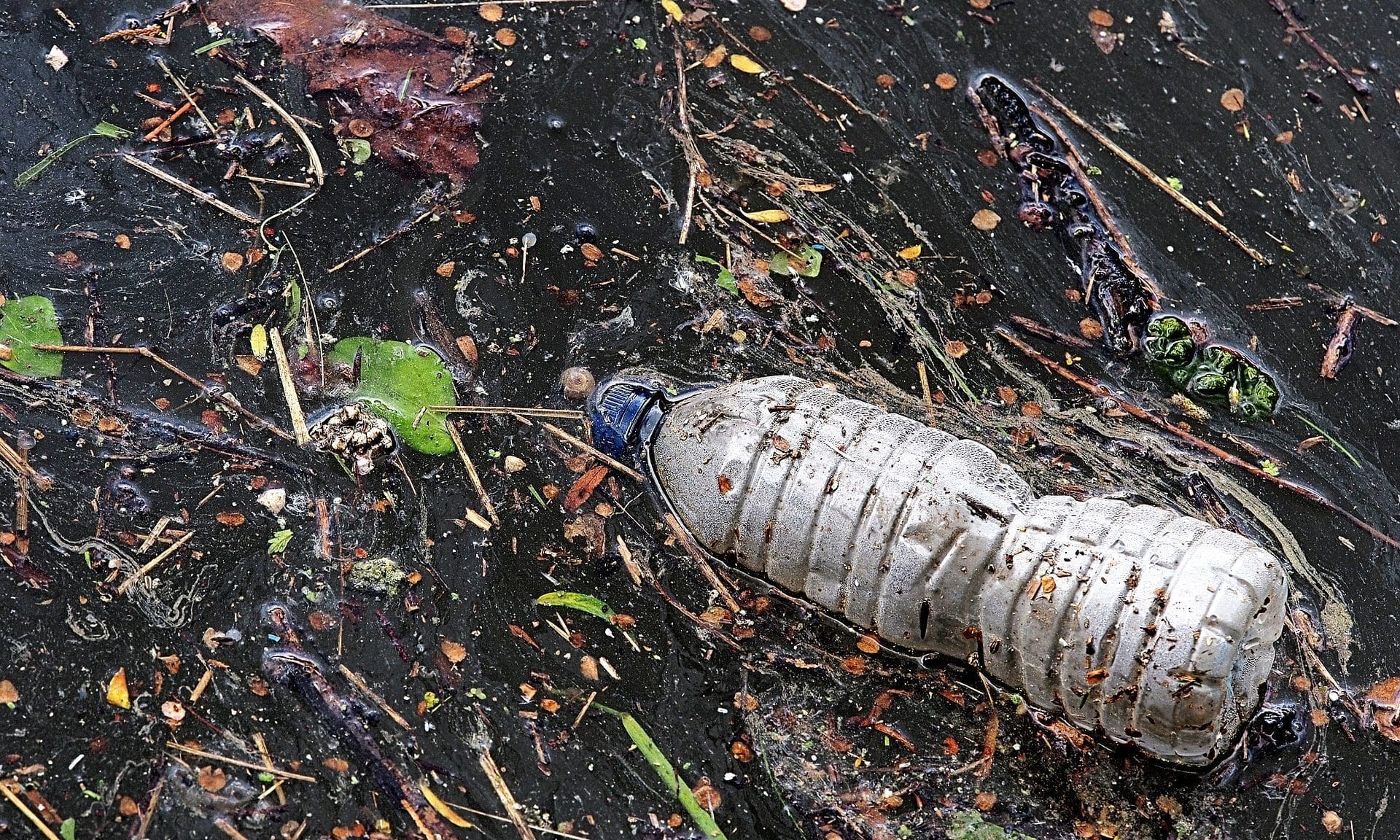 pollution
