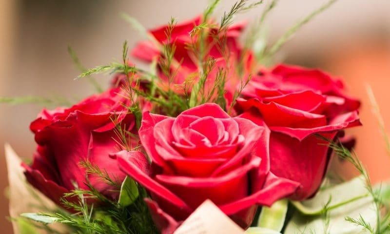 Brits set to spend £650m on Valentine’s Day