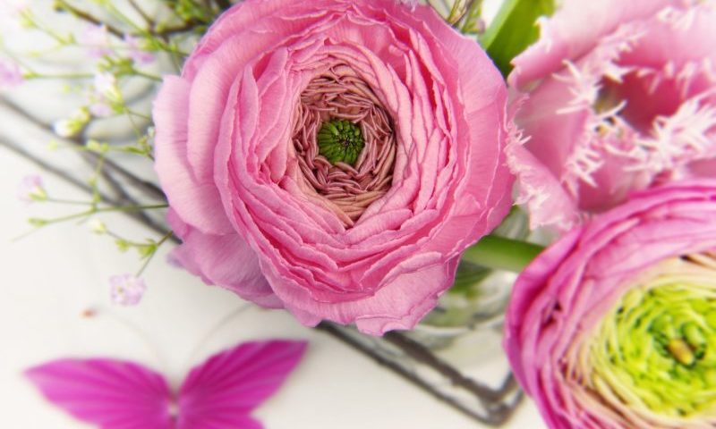 Mother’s Day spending to reach £600m