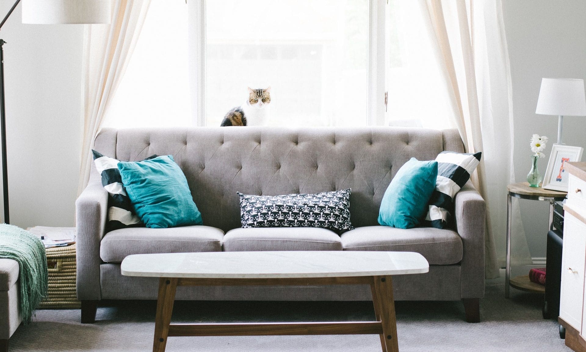 Mike Ashley and ScS in competition over Sofa.com