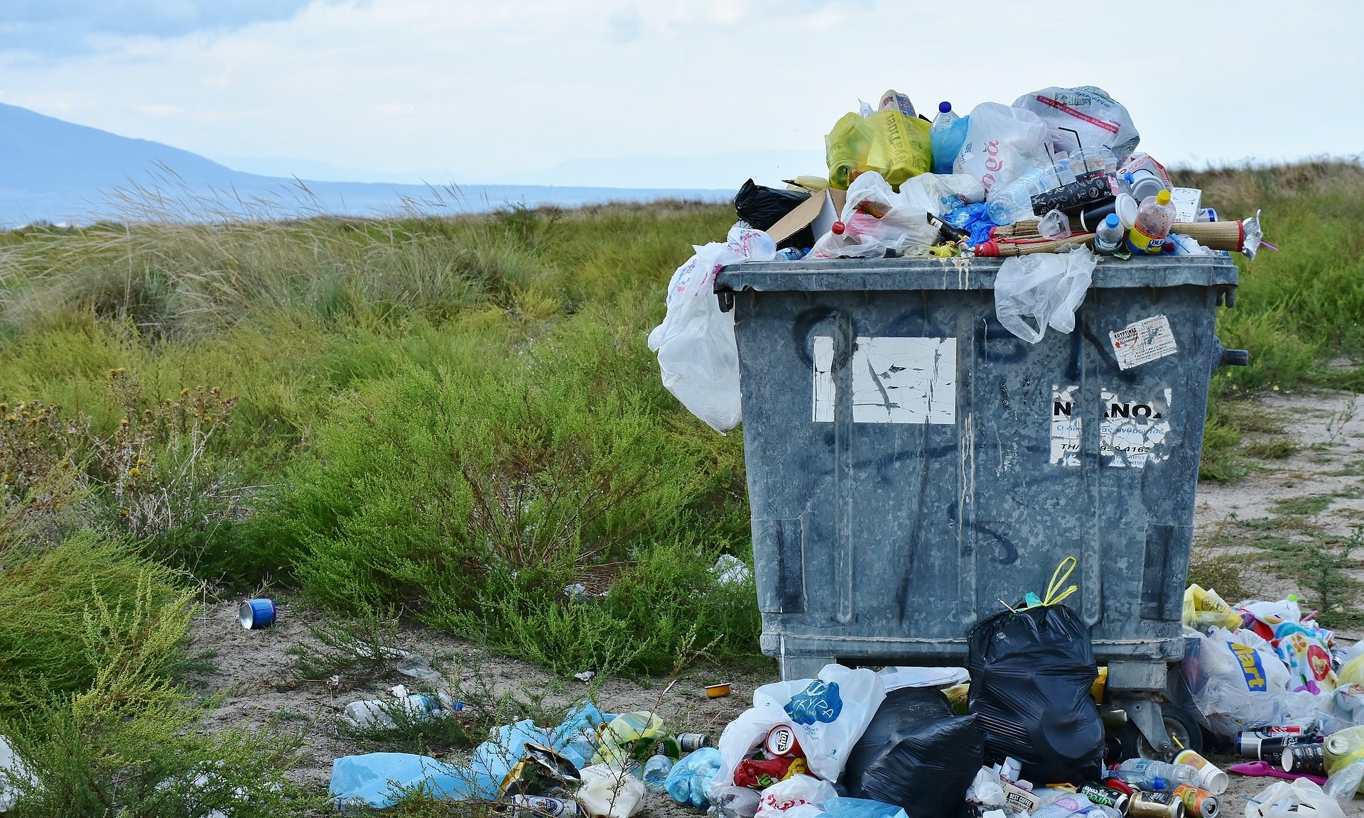 Killing plastic before it kills us