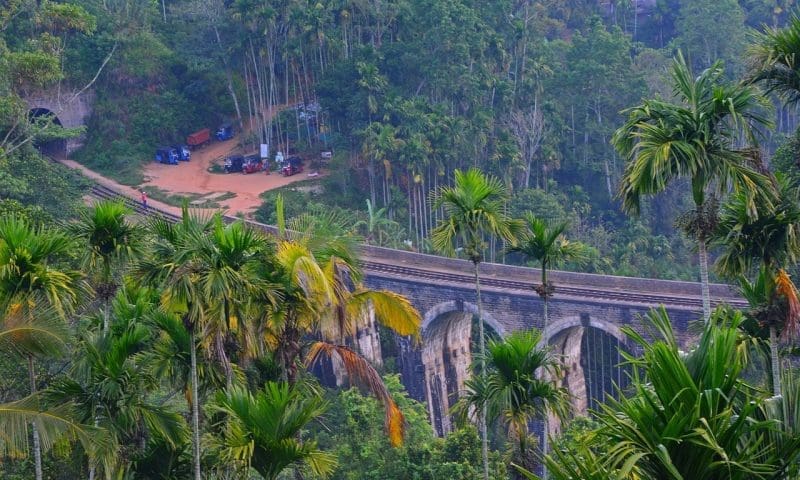 Asos and Zalando retail tycoon loses children in Sri Lanka attacks
