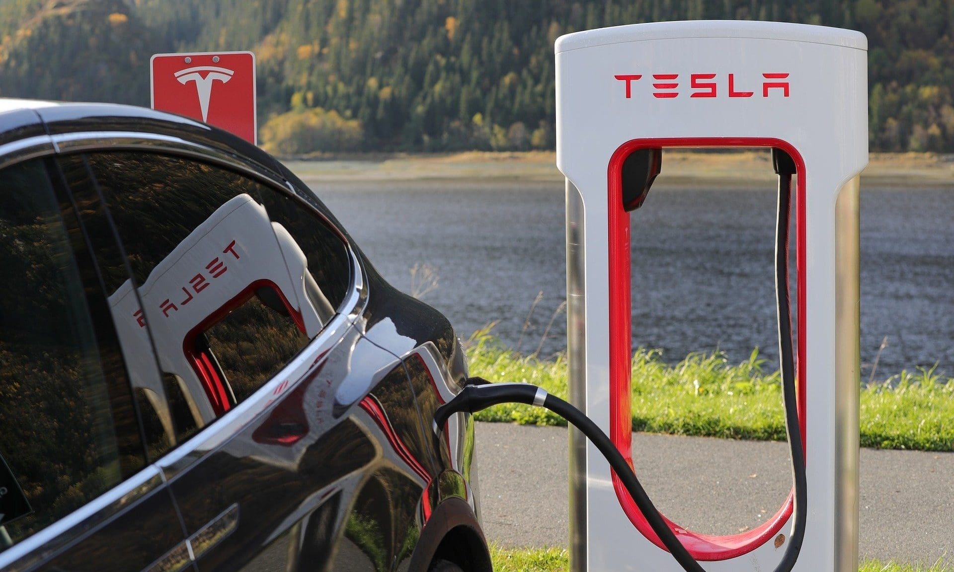 Tesla, Macy’s and organic food: serious change is afoot