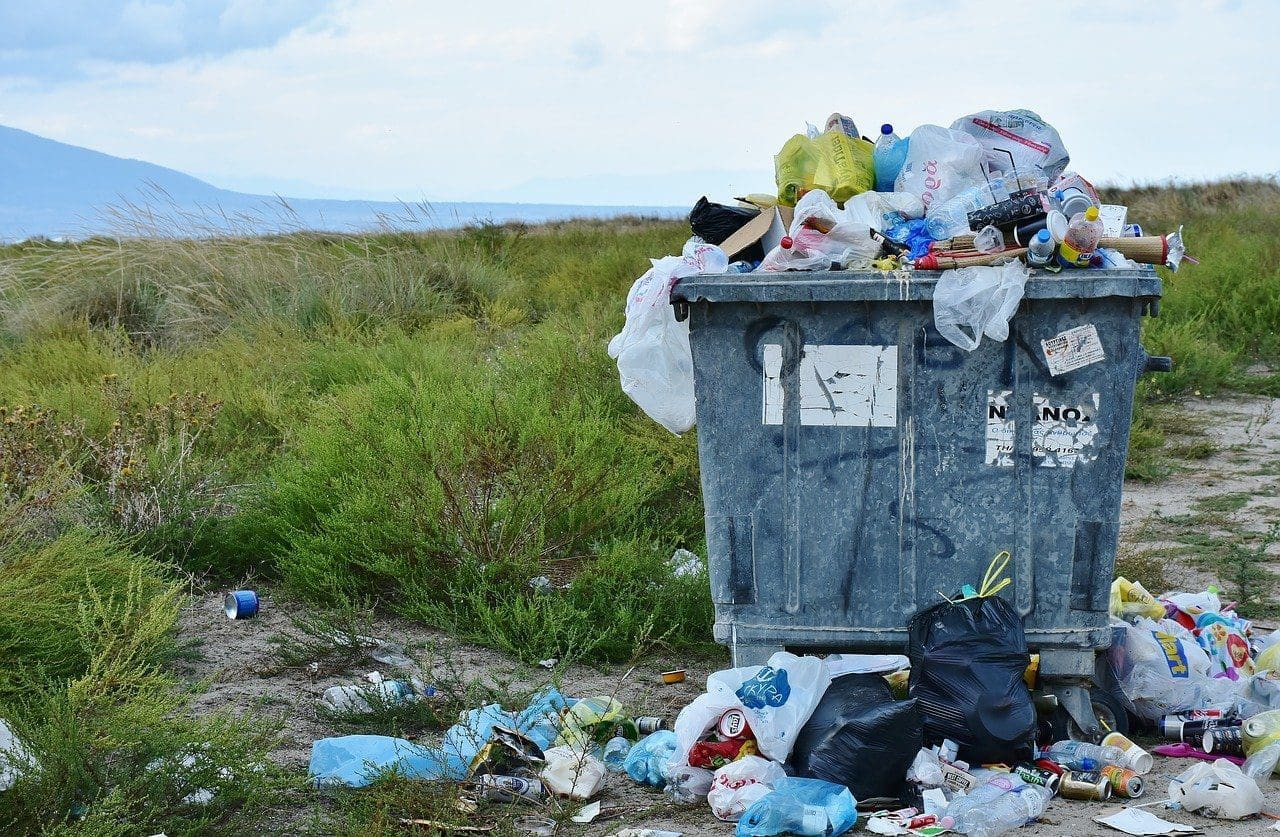 Clean Sweep: The great supermarket sustainability drive