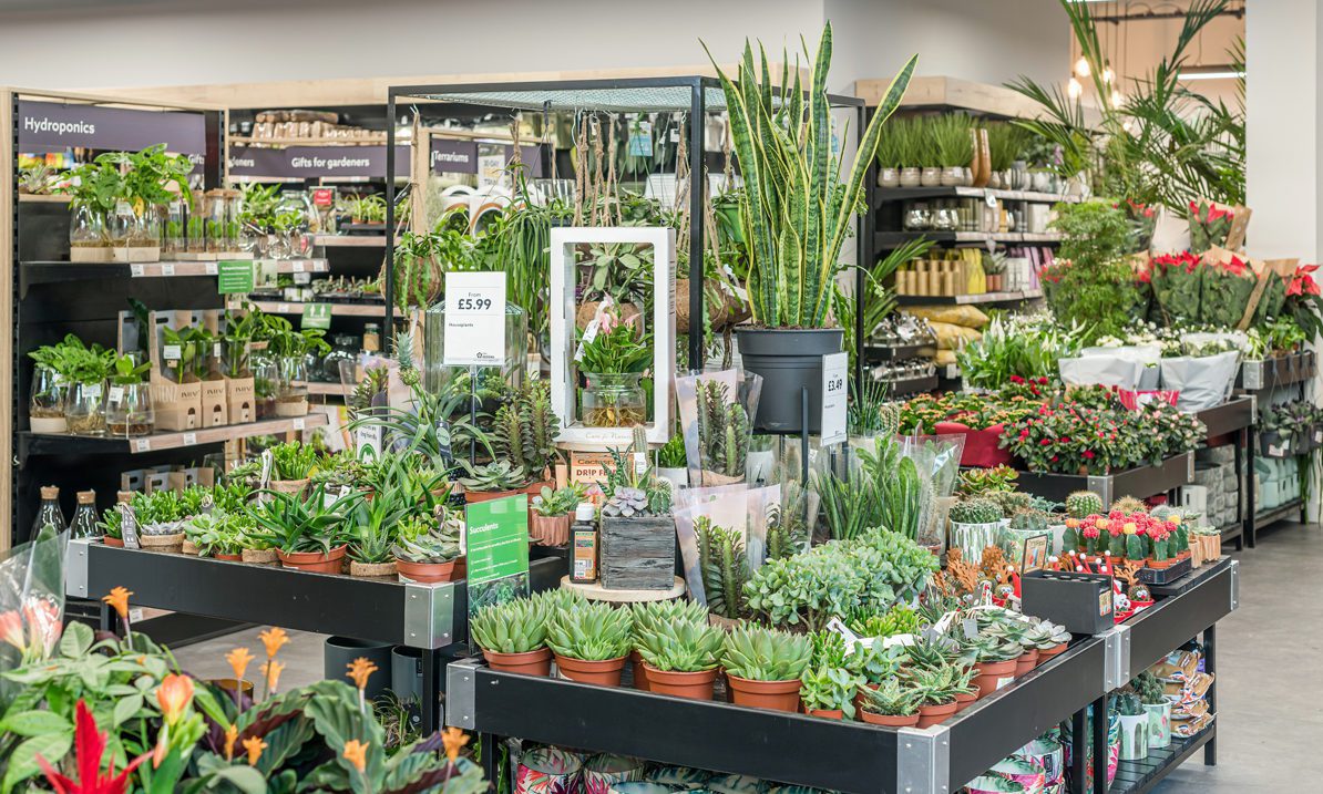 Dobbies to open two new London stores