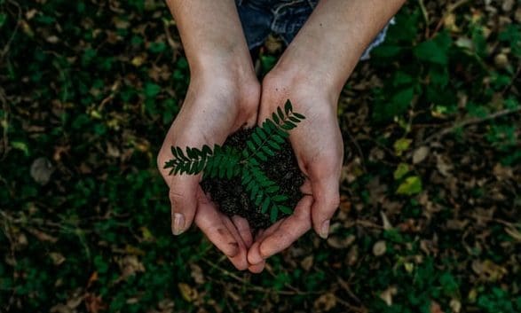 Sustainability ‘falls down agenda’ for retailers, report finds