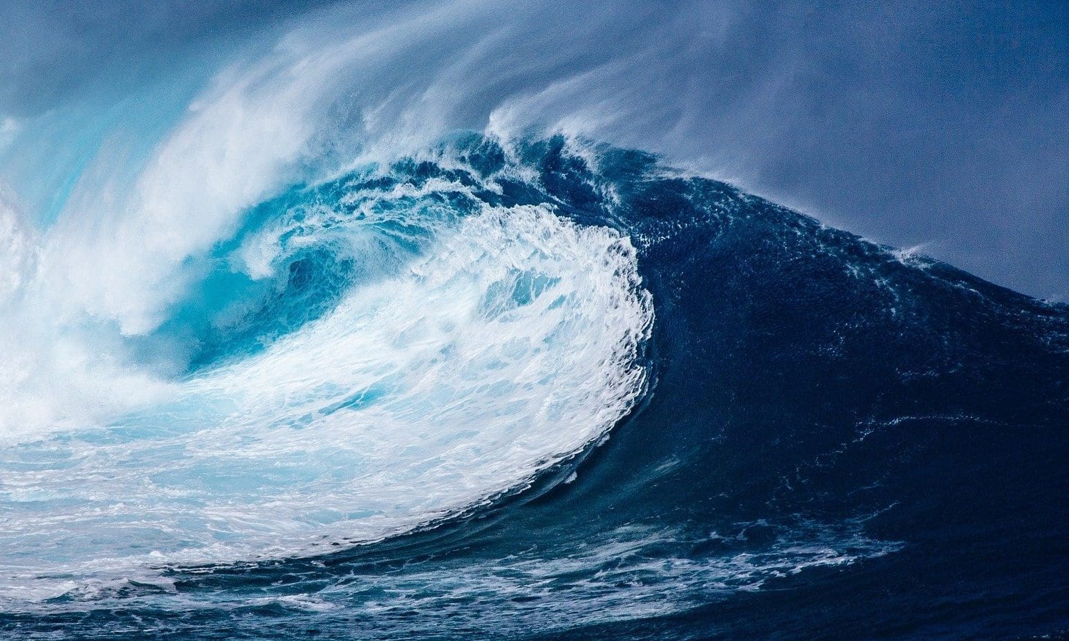 Rip Curl appoints new CEO