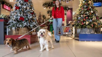 Waitrose reveals surge in early Christmas shopping