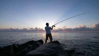 Angling Direct revenues surge 11.9% to £91.3m in FY 2025