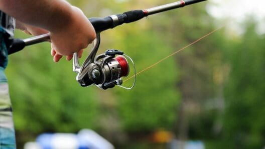 Angling Direct UK sales surge to £99.2m as loyalty scheme drives growth
