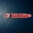 Strait of Hormuz to reopen following US-Iran deal